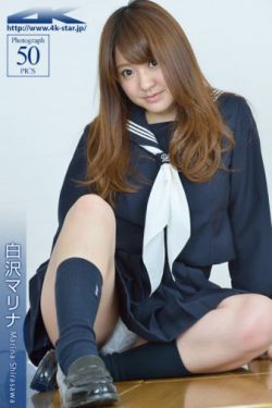 弗莱明